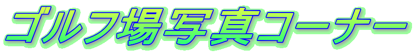 �S���t��ʐ^�R�[�i�[
