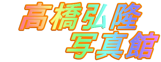 �����O��
�@�@�@�ʐ^��