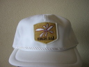 c007