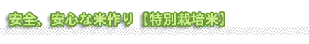 安全、安心な米作り【特別栽培米】