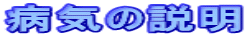 aC̐